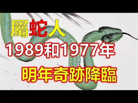 1989蛇|1989年屬蛇人：一生的性格及命運